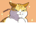 Flwrcats:>