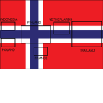 THE NORWEGIAN DUDES