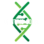 Centric Corp.