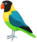 Parrot’s Studio