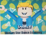 ~Shining Stars Dance Academy