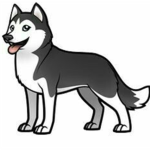 Huskys and friends
