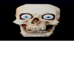 Twin Skull Fan :D