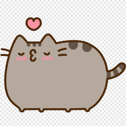 kittys Collide! * NEW *
