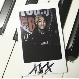 ✧
