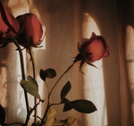 - hp crushes -