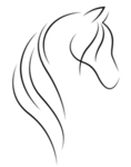 { Horse Academy}