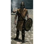 whiterun guards the best gaurds in skyrim