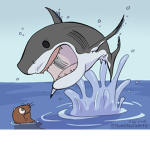 Sharks Family