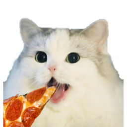 Diet Bepis Epic Place