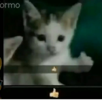 Grupo completamente ramdom