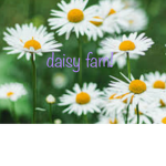 daisy squad! x