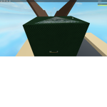 crayy no