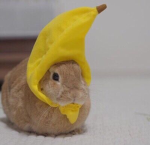 lalalalalalalalalallaalalalala