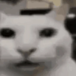 secret version of pb icon