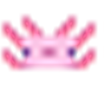 Axolotl Palace