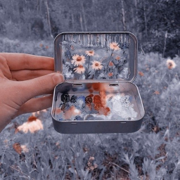 ˚ ༘♡ ⋆｡˚ ❀