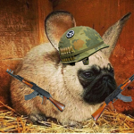 BUNNY ARMY THE BEST