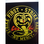 Cobra kai karate fan club!!