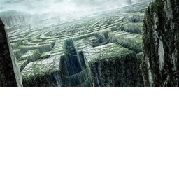 the maze trails (filming in progress)