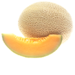 Cantaloupe Studios