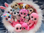 BeanieBoo fan club!