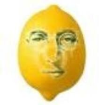 John Lemon is not fire