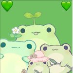 the foggies