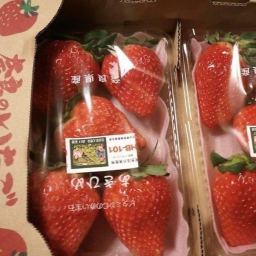 ʚ🍓ɞ
