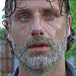 The Walking Characters