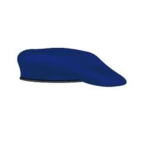OFFICIAL BLUE BERET GROUP