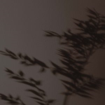 ZOぞ | Hintaku 品格