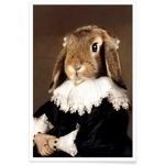 Official Bunny Fan Group