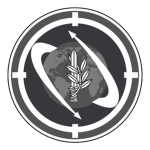 Israeli Expeditionary Force
