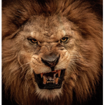 lion peeps!