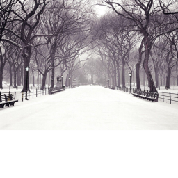 ~Space Cows Park Snow!~