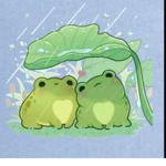 Petites grenouilles