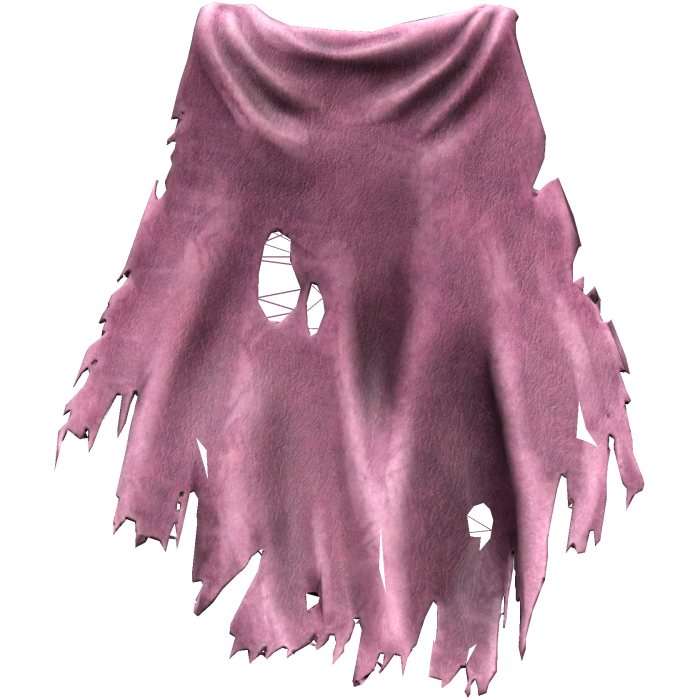 Pink Old Torn Ripped Traveler Cape 