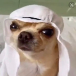Sobaken Arab Squad
