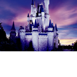 Sonic Castle(in building)