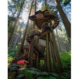 Treehouse hangout