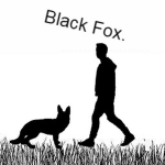 Black Fox Academy.
