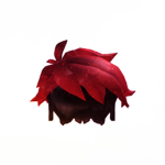 Bloomezz Fan Group