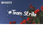 #Team_Strike