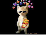 BACONS FOREVER XDDD