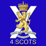 4th Battalion, Deployment Roles