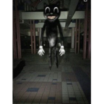 Cartoon catx