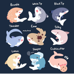~Shark Obby~