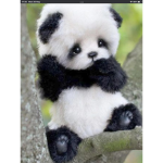 slender panda UWU UWU