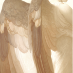 Ms. Angelic Store